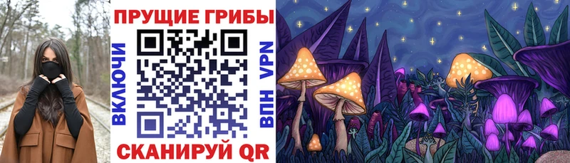 Псилоцибиновые грибы ЛСД  Купино 